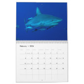 2015 requins du calendrier de mer de corail (Feb 2026)