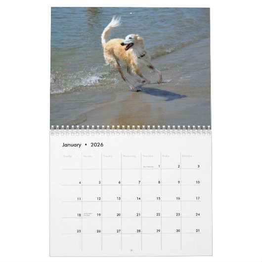 2015 Silken Windhounds in actie Kalender (Jan 2026)