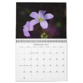 2015 un contact du calendrier de Sun (Feb 2027)