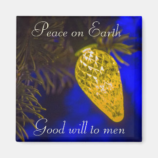 2015 Vakantiemagneet Magneet