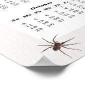 2015 Wolfspinnekalender Poster (Hoek)