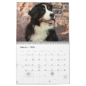 2016 Bernese Mountain Dog Calendar Kalender (Feb 2026)