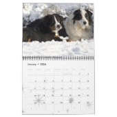 2016 Bernese Mountain Dog Calendar Kalender (Jan 2026)