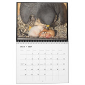 2016 calendrier - collages principaux de came (Mar 2027)