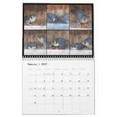 2016 calendrier - collages principaux de came (Feb 2027)
