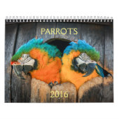 2016 calendrier des perroquets, ara, Amazone, (Protection)