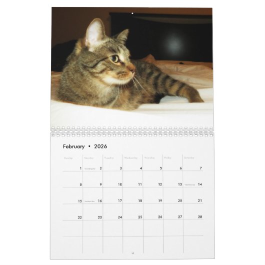 2016 calendriers augmentants de Mercury (Feb 2026)