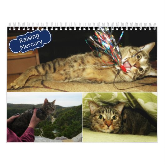2016 calendriers augmentants de Mercury (Protection)