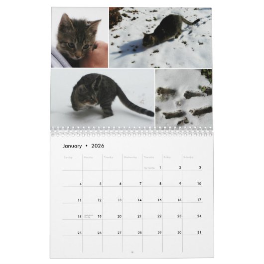 2016 calendriers augmentants de Mercury (Jan 2026)
