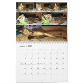 2016 calendriers augmentants de Mercury (Mar 2027)