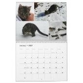 2016 calendriers augmentants de Mercury (Jan 2027)