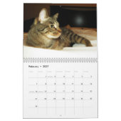 2016 calendriers augmentants de Mercury (Feb 2027)
