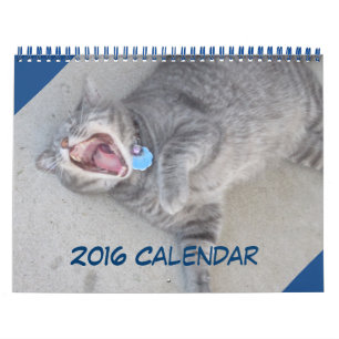 2016 de Kalender van de Kat & van de Hond