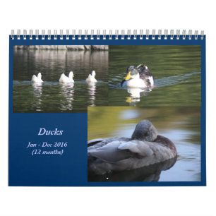 2016 de Kalender van eenden