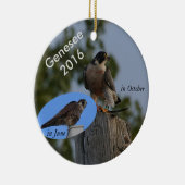 2016 Genesee Ornament - in volwassen plumage. (Rechts)