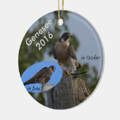 2016 Genesee Ornament - in volwassen plumage. (Links)