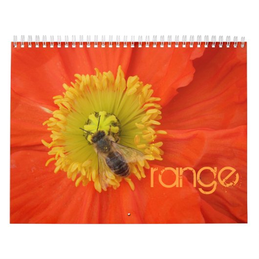 2016 in kleuren - kalender (Hoes)