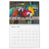 2016 Kalender van Parrots, ara, amazon (Feb 2027)