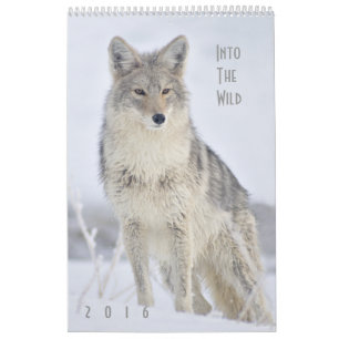 2016 Wildlife Muur Kalender door Steven Holt