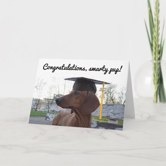 2017 Afstuderen Cap & Charm Dog Teckel Smarty Kaart (Voorkant)