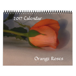 2017 Agenda-Sinaasrozen Agenda Kalender