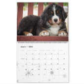 2017 Bernese Mountain Dogs Calendar Kalender (Mar 2026)