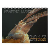 2017 calendrier moyen/grand de MANTIDFORUM (Protection)