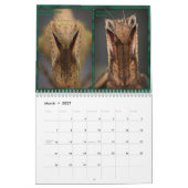 2017 calendrier moyen/grand de MANTIDFORUM (Mar 2027)