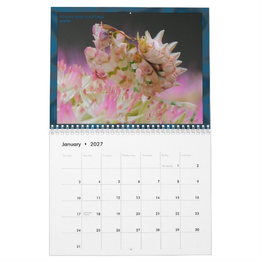 2017 calendrier moyen/grand de MANTIDFORUM (Jan 2027)