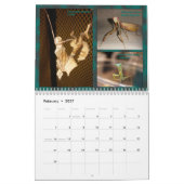 2017 calendrier moyen/grand de MANTIDFORUM (Feb 2027)