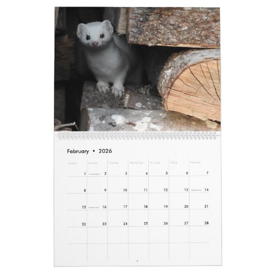 2017 calendrier - nature du New Hampshire par (Feb 2026)
