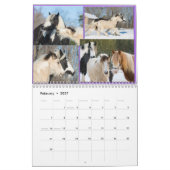 2017 Fellinlove avec le calendrier de chevaux (Feb 2027)