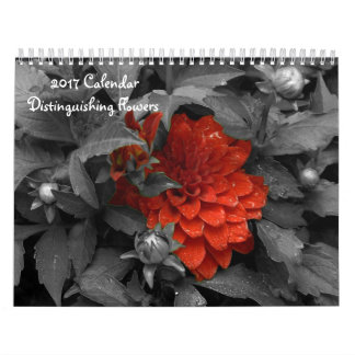 2017 Kalender Onderscheidende Bloem kalender