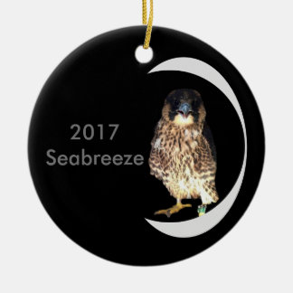 2017 Keramische Versiering Seabreeze Keramisch Ornament