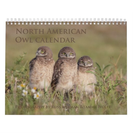 2017 Noord-Amerikaanse muur kalender (Hoes)