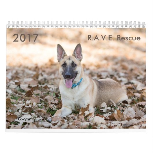 2017 R.A.V.E. Reddingskalender Kalender (Hoes)