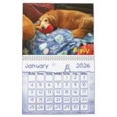 2017 remue le calendrier de soin d'agitation et de (Jan 2026)