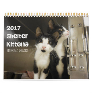 2017 Shelter Kittens Kalender