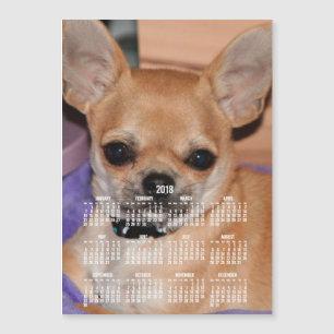 2018 Agenda Chihuahua Magnetische Fotokaart 5x7