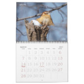 2018 Agenda voor vogelfotografie Kalender (Mar 2027)