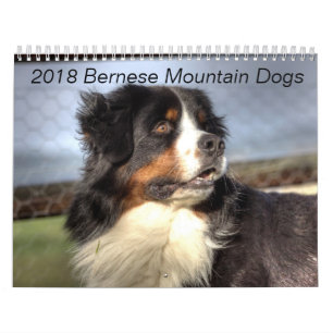 2018 Bernese Mountain Dog Calendar Kalender