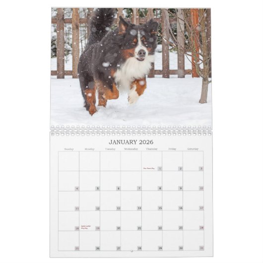 2018 Bernese Mountain Dog Calendar Kalender (Jan 2026)
