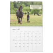 2018 calendriers frisons inspirés de cheval (Mar 2027)
