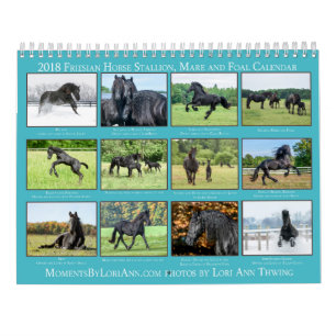 2018 Friesian Mare, Foal and Stallion Calendar Kalender