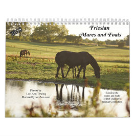 2018 Friesian Mares and Foals Calendar Kalender