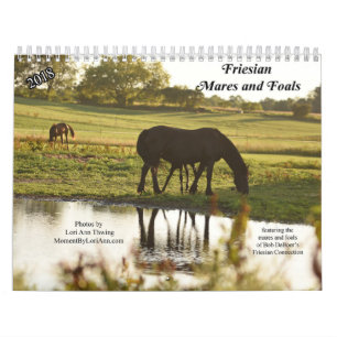 2018 Friesian Mares and Foals Calendar Kalender