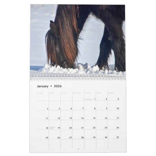 2018 Friesian Mares and Foals Calendar Kalender (Jan 2026)