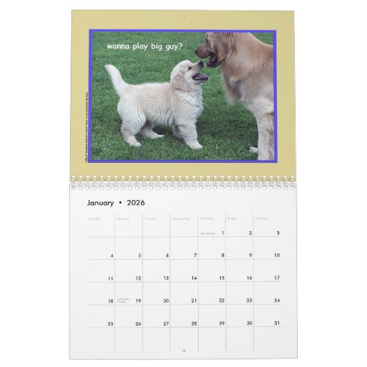 2018 Golden Retriever Puppy Calendar Kalender (Jan 2026)