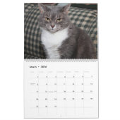 2018 GRIJZE EN WITTE KATTEN KALENDER (Mar 2026)