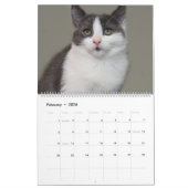 2018 GRIJZE EN WITTE KATTEN KALENDER (Feb 2026)